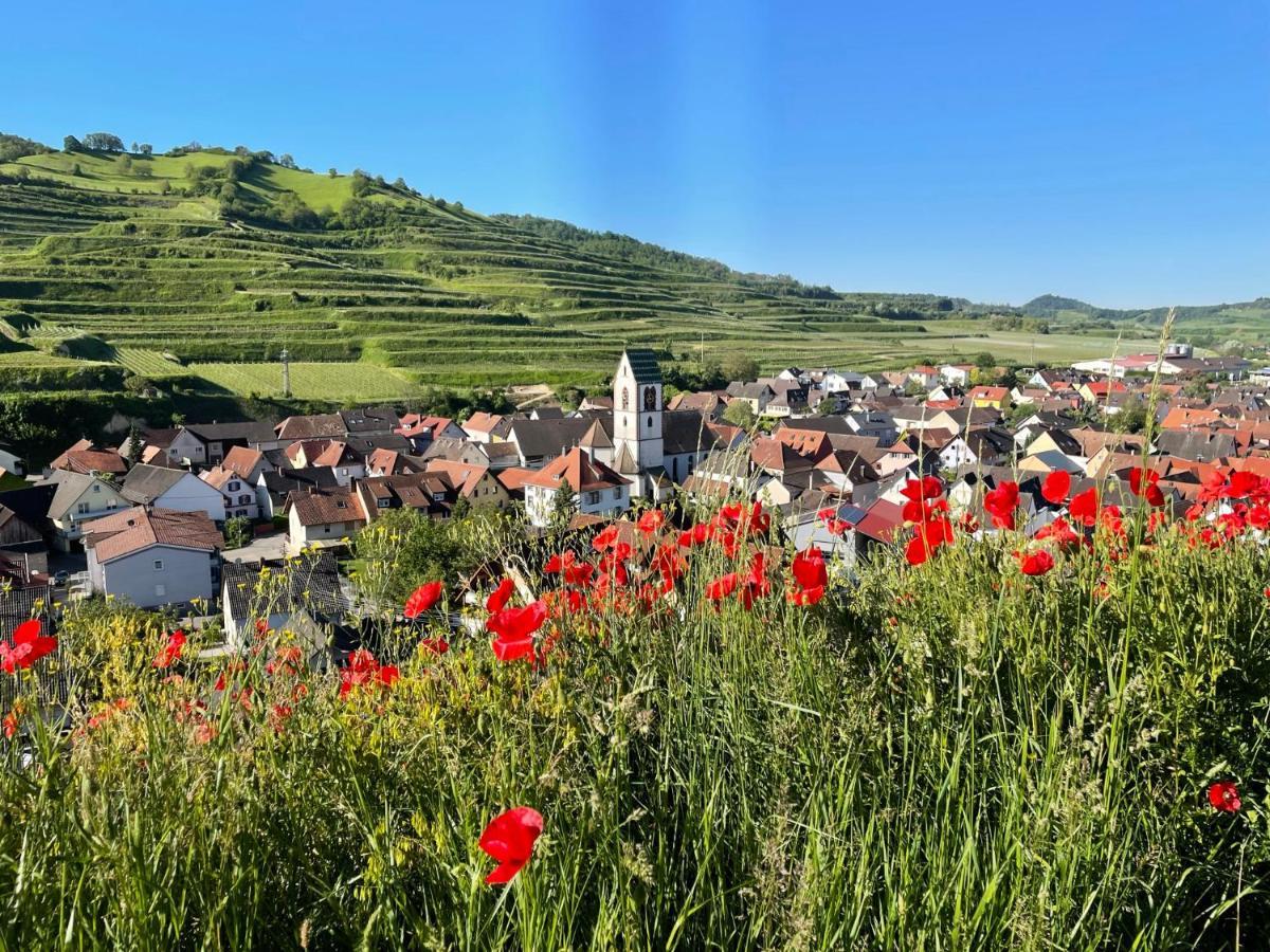 Weingut & Strausswirtschaft Vogel Apartment Vogtsburg Exterior foto