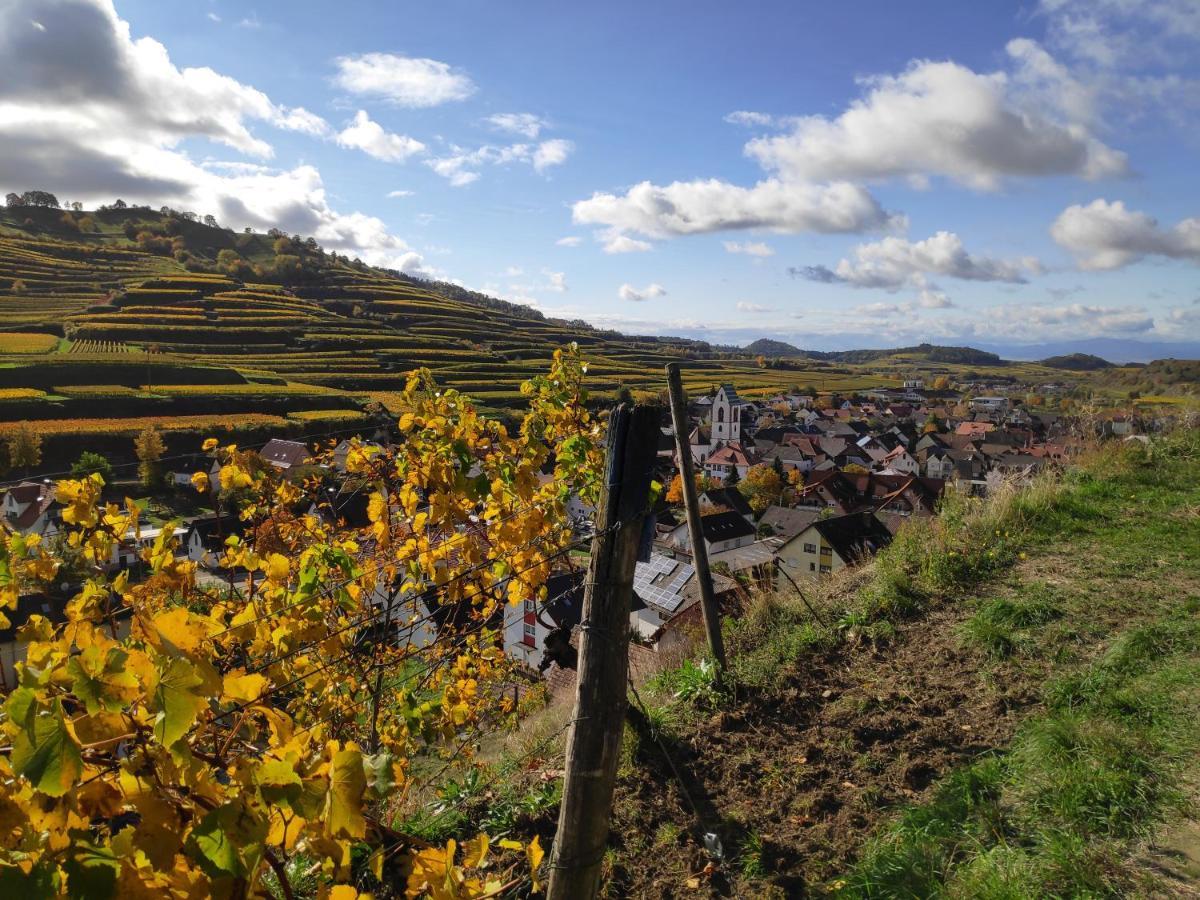 Weingut & Strausswirtschaft Vogel Apartment Vogtsburg Exterior foto