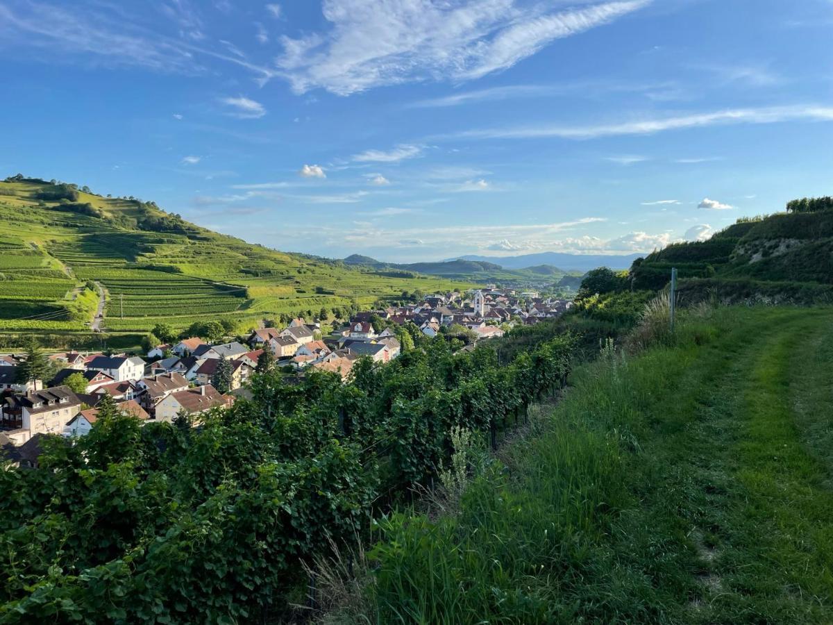 Weingut & Strausswirtschaft Vogel Apartment Vogtsburg Exterior foto