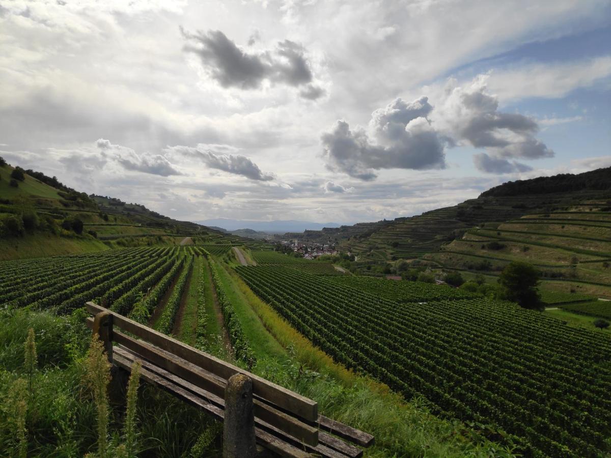 Weingut & Strausswirtschaft Vogel Apartment Vogtsburg Exterior foto