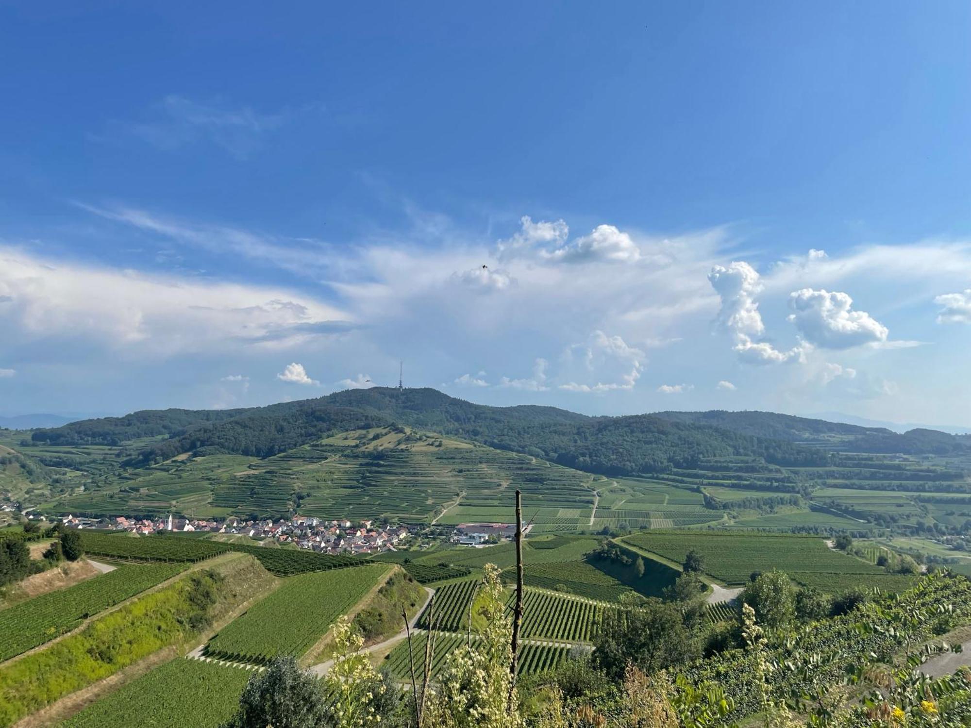 Weingut & Strausswirtschaft Vogel Apartment Vogtsburg Exterior foto